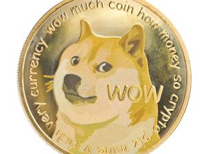 Super duper Doge 2026 EN Rubrik